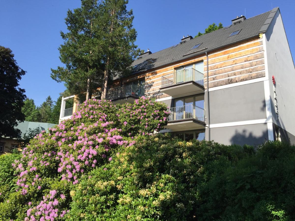 Apartament Grafitowy Willa Laser Szklarska Poreba Exterior photo
